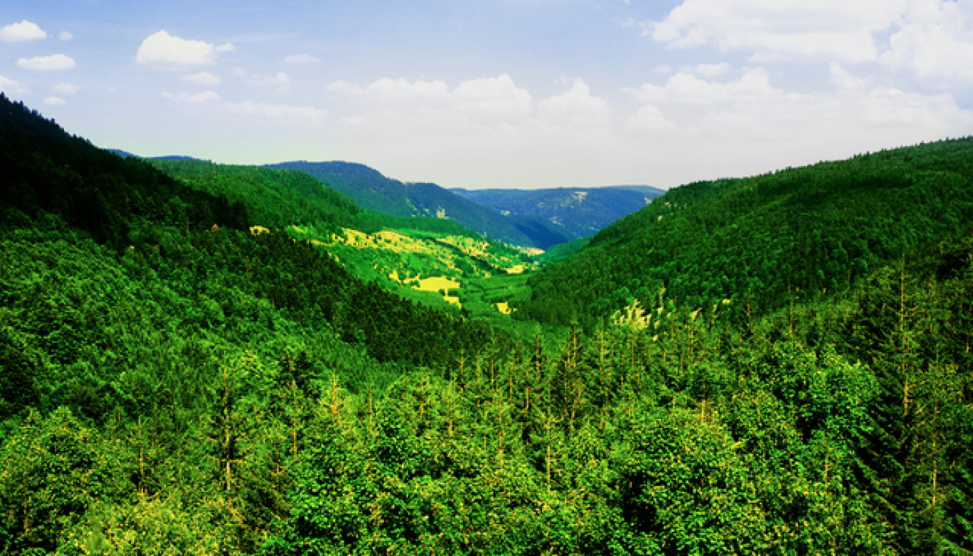 Week-end en Alsace : que diriez-vous d’un logement avec spa privatif ?